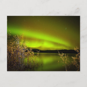 Carte Postale Feux du Nord (Aurora borealis)