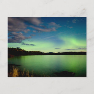 Carte Postale Feux du Nord (Aurora borealis)