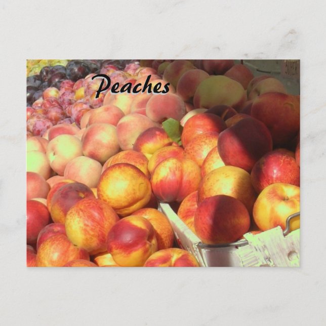Carte Postale Fiche de recette - Pêches (Devant)