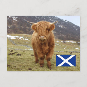 Carte Postale Fier d'être écossais !