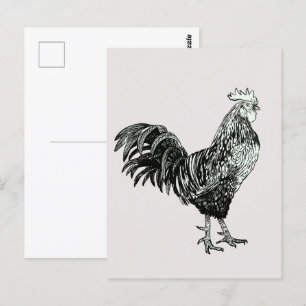 Carte Postale Fier petit coq !