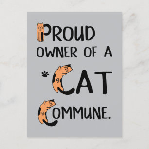 Carte Postale Fière propriétaire d'une Commune de Chat drôle de 