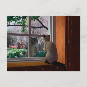 Carte Postale Fièvre du printemps