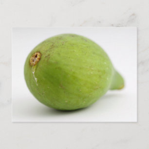 Carte Postale Fig