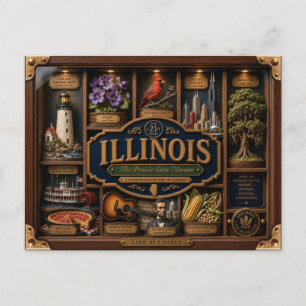 Carte Postale Figurine 3D Illinois Boîte d'Ombre État