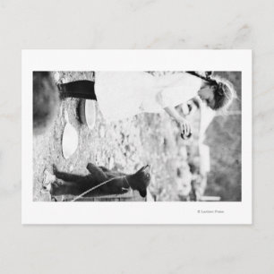 Carte Postale Fille nourricière Ours Cub à l'eau