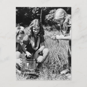 Carte Postale Filles ramassant des grenouilles, années 1940