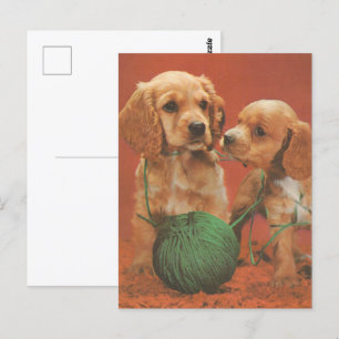 Carte Postale Fils et affection, Cocker Spaniels en jeu