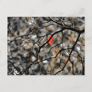 Carte Postale Fin automne