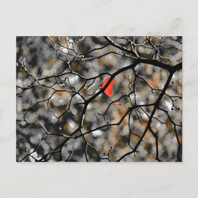 Carte Postale Fin automne (Devant)