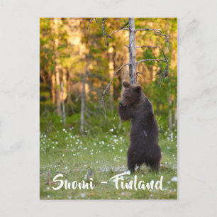 Carte postale Finnois/Finlande
