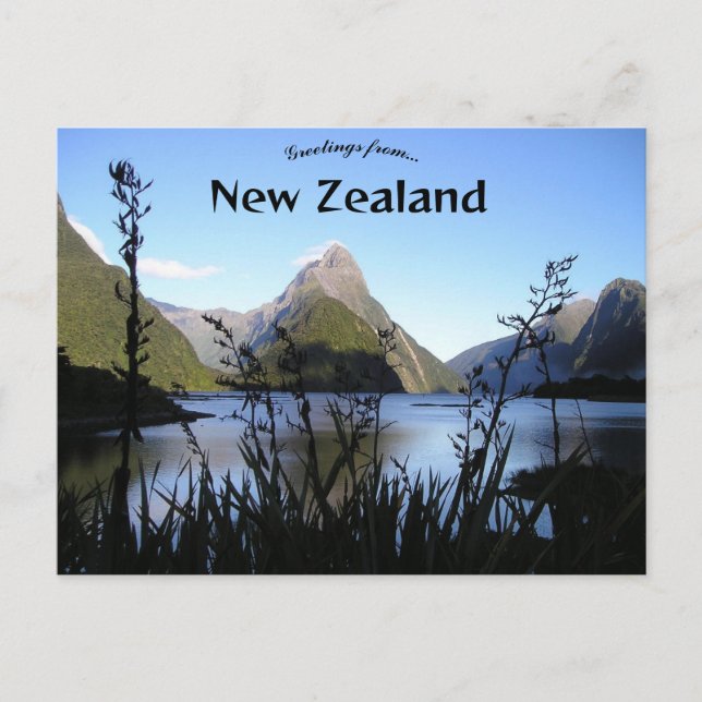 Carte Postale Fiordland New Zealand (Devant)