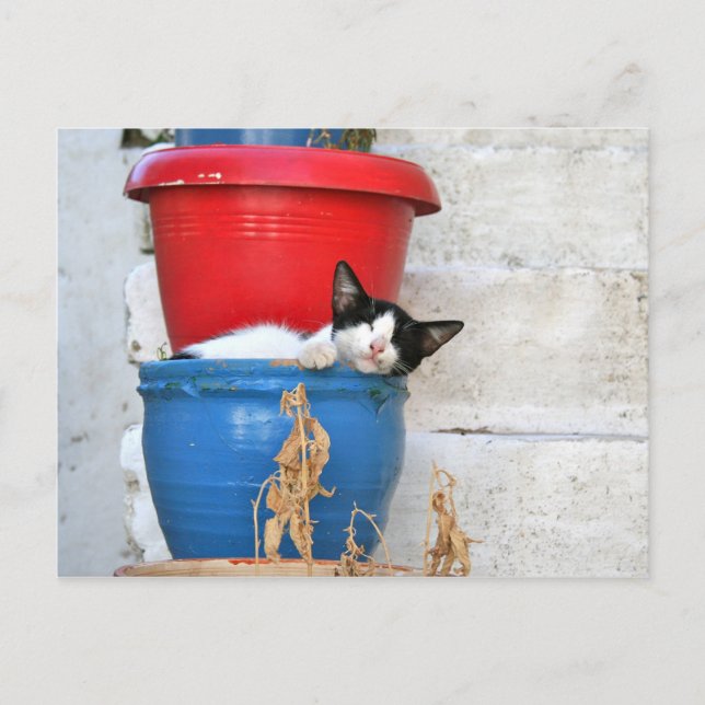 Carte Postale Fiscardo, Kefalonia (Devant)