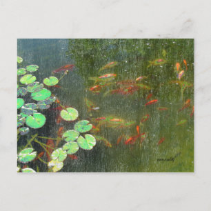 Carte postale Fish Pond