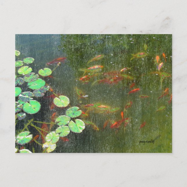 Carte postale Fish Pond (Devant)