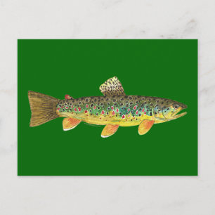 Carte Postale Fishing