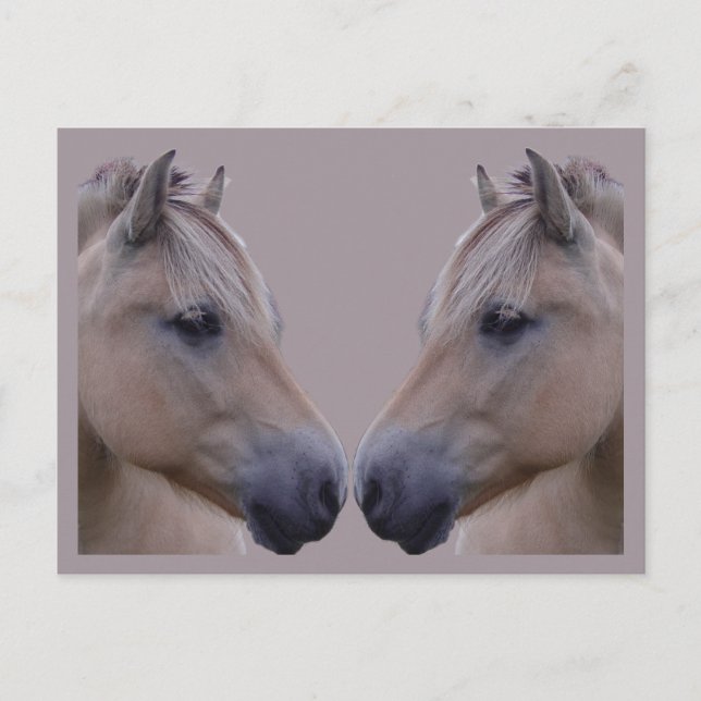 Carte Postale Fjord norvégien (Devant)