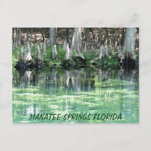 Carte postale Fl Manatee Springs