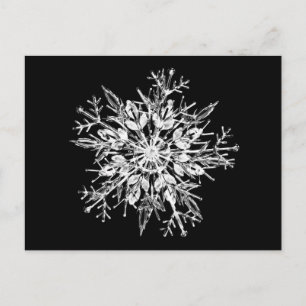 Carte Postale Flacon de neige en cristal de glace