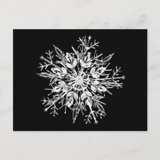 Carte Postale Flacon de neige en cristal de glace (Devant)