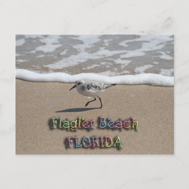 Carte postale Flagler Beach (Devant)