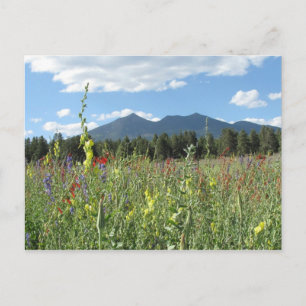 Carte Postale Flagstaff, AZ