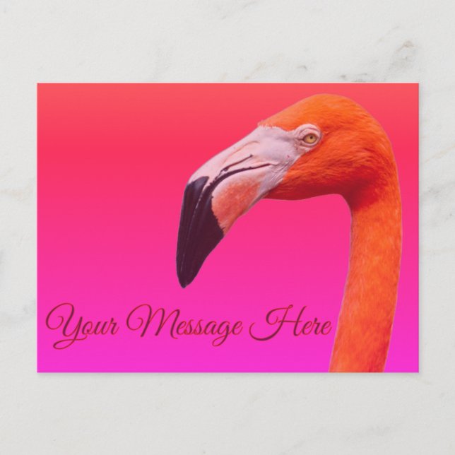 Carte Postale Flamant  (Devant)