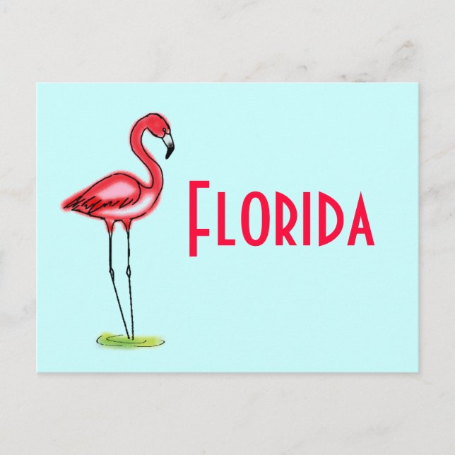 Carte postale Flamant rose (Devant)