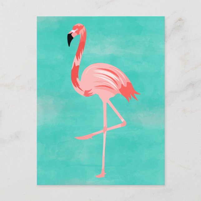 Carte Postale Flamant rose (Devant)