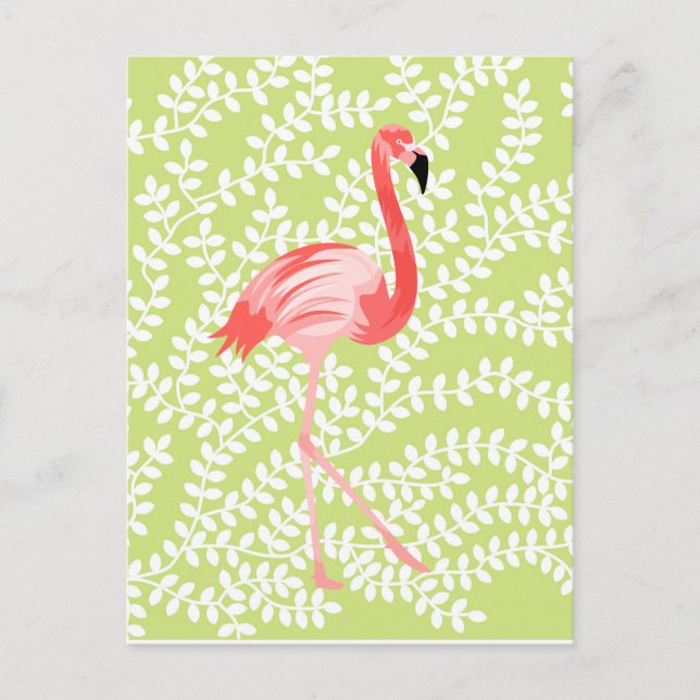Carte Postale Flamant rose (Devant)