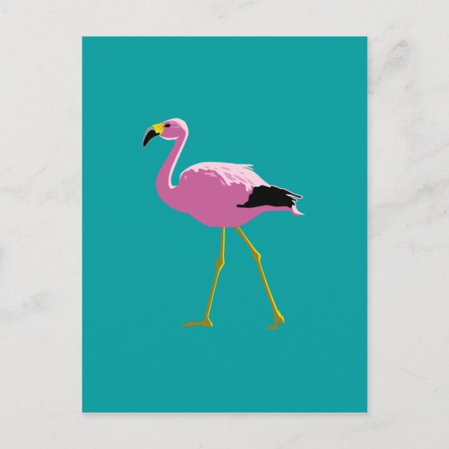 Carte Postale Flamant Rose (Devant)