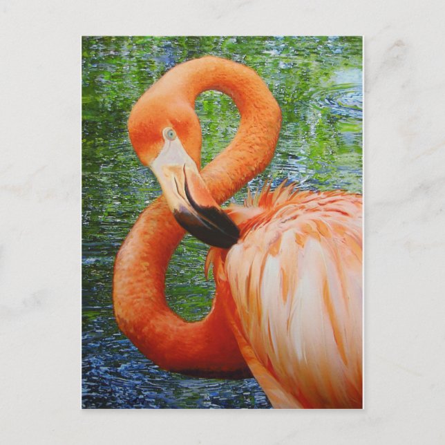 CARTE POSTALE FLAMANT ROSE (Devant)