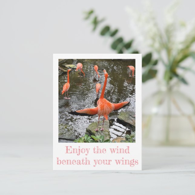 Carte Postale Flamant rose | Aviation nationale (Debout devant)