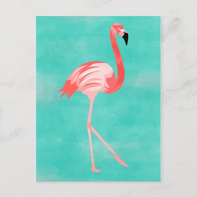 Carte Postale Flamant rose Bird (Devant)
