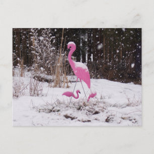Carte Postale Flamant rose dans la neige