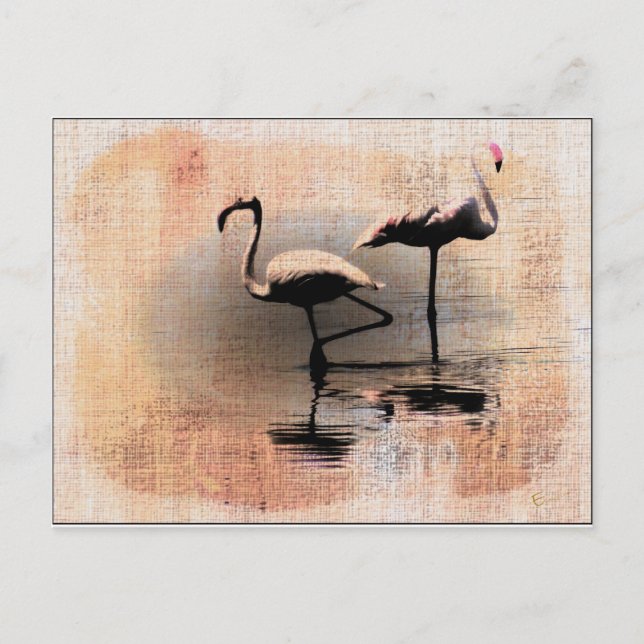 Carte Postale Flamant rose Dreams (Devant)
