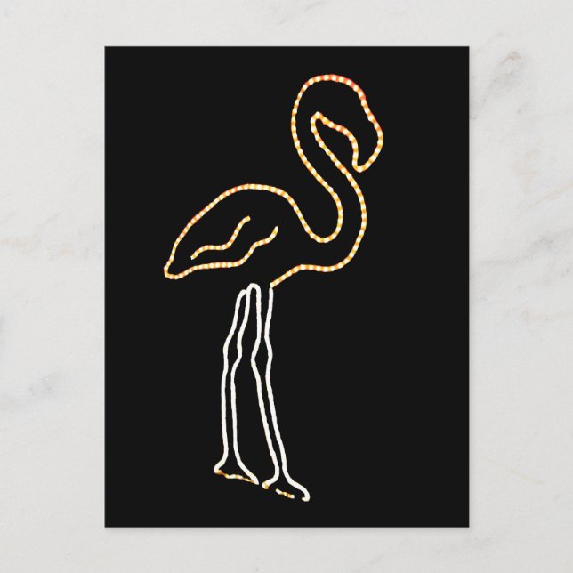 Carte Postale Flamant rose fluorescent (Devant)