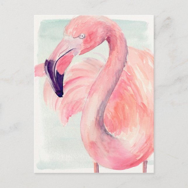 Carte Postale Flamant rose Pastel (Devant)