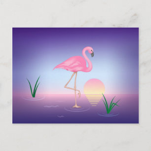 Carte Postale Flamant rose rose