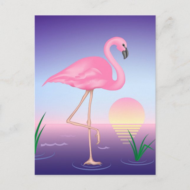 Carte Postale Flamant rose rose (Devant)