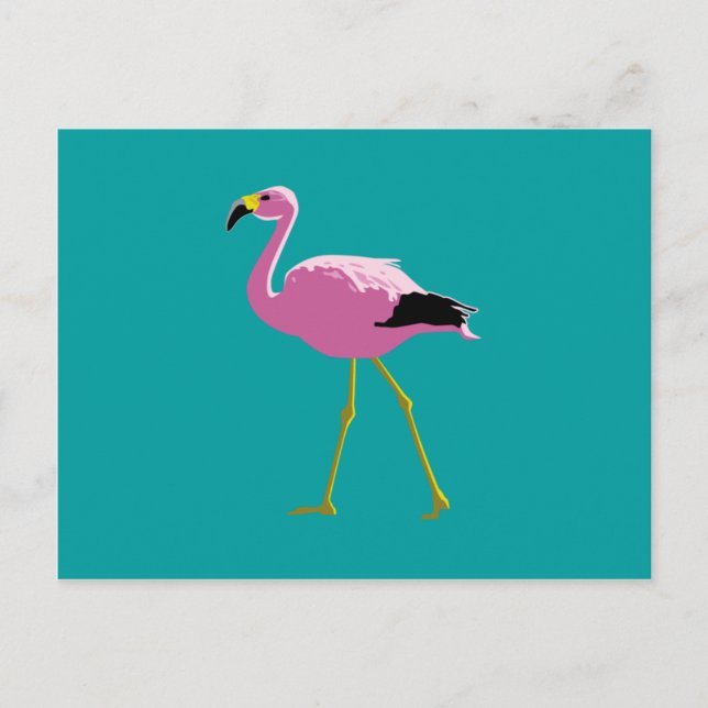 Carte Postale Flamant rose rose (Devant)