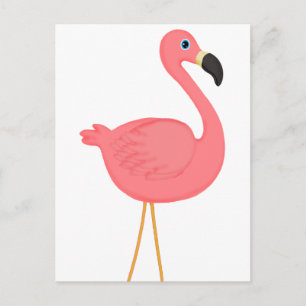 Carte Postale Flamant rose rose