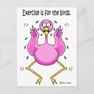 Carte Postale Flamant rose rose amusant exercice est pour les oi
