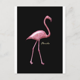Carte Postale Flamant rose rose de Floride