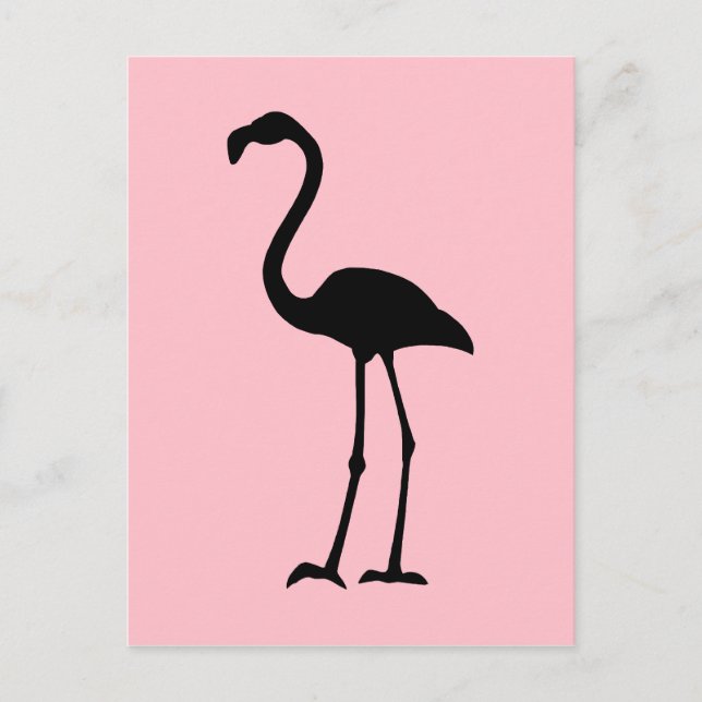 Carte Postale Flamant rose rose et noir (Devant)