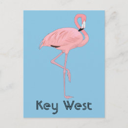 Carte Postale Flamant rose rose Key West Florida