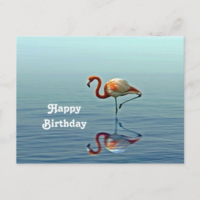 Carte Postale Flamant rose rose Réflexion Faune Photo Anniversai (Devant)