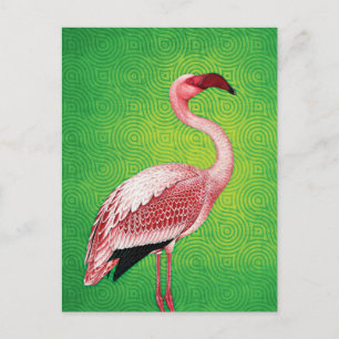 Carte Postale Flamant rose rose sur Motif vert rétro