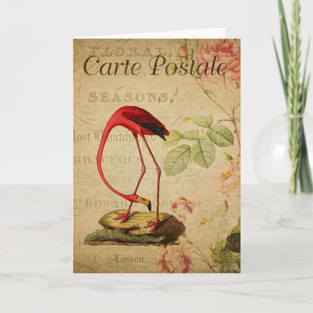 Carte postale Flamant rose Vintage en français (Devant)
