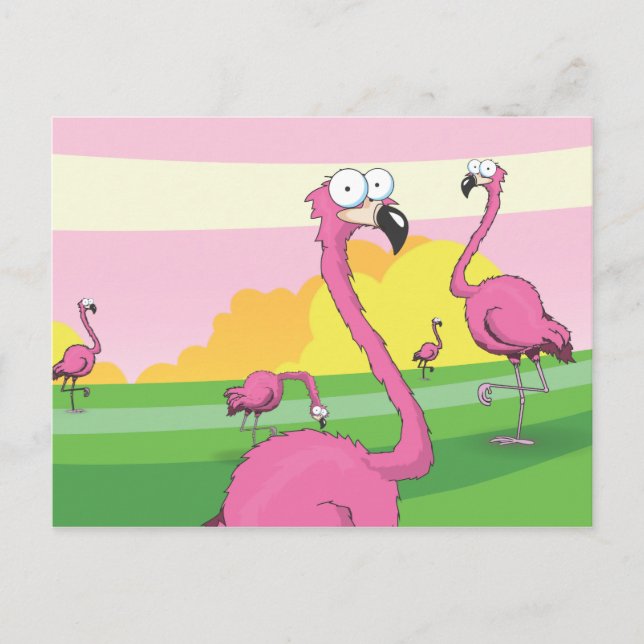 Carte Postale flamants (Devant)